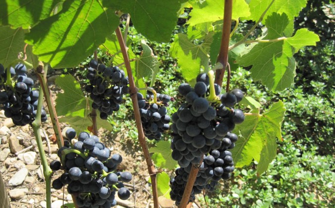 2015-09-06 14.13.35 (2)