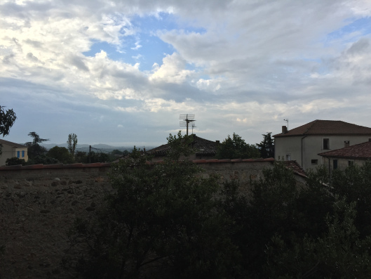 Efter nattens regn...