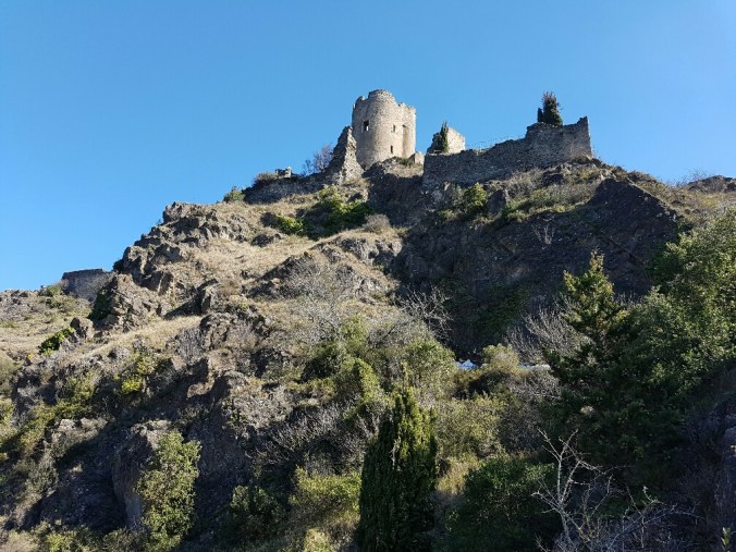 20170226_124222_resized