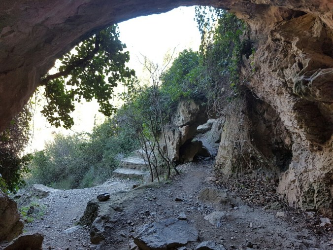 20170226_124657_resized