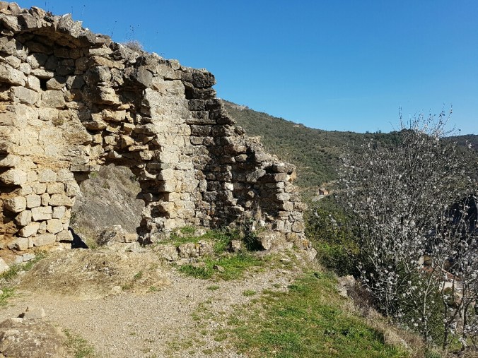 20170226_144209_resized