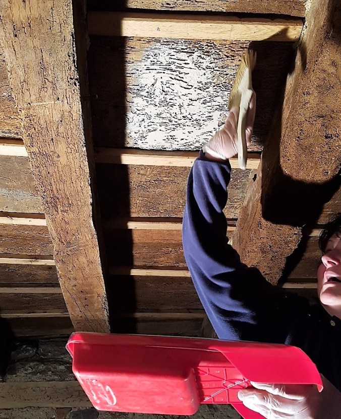 hustrun målar frankrike