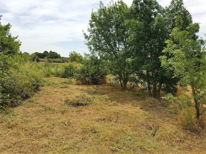 färdigröjd trädgård aude