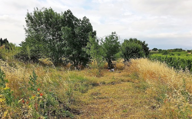 halvvägs röjt jardin