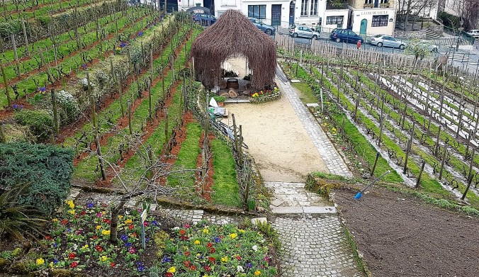 vigne 2 montmartre