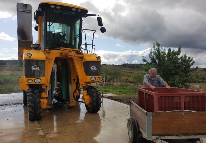 rengöring kärl aude vinskörd